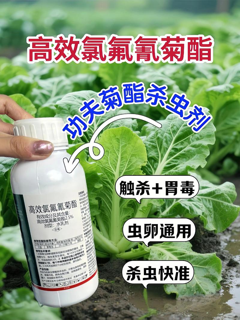 甘肃代生中心:农药对供卵代生妈妈的危害